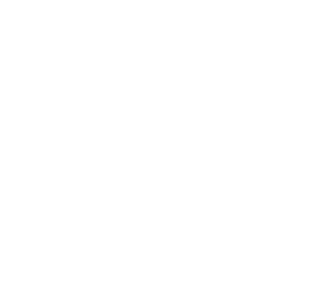 tismi_logo